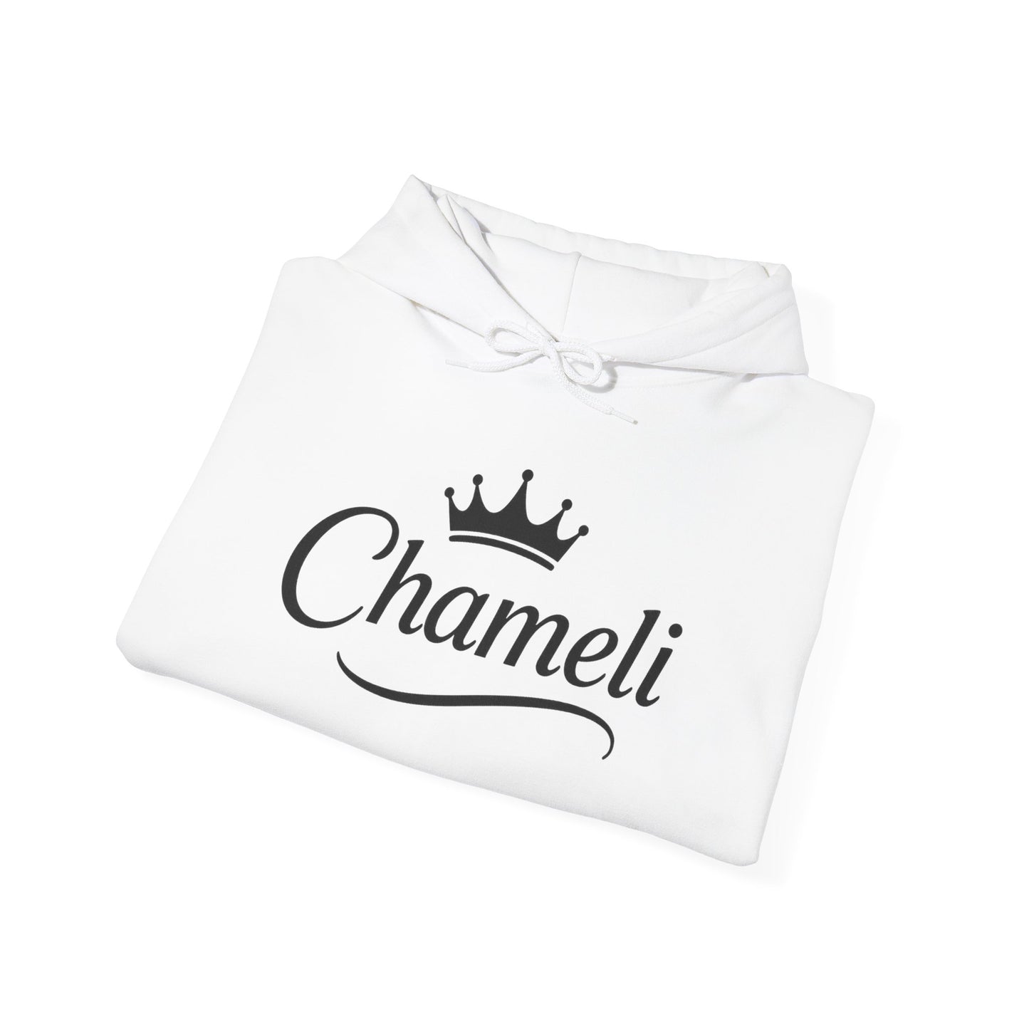 Crown Logo Hoodie | Cozy Unisex Sweatshirt for Casual Wear, Gift for Friends, Birthday Present, Everyday Comfort, Stylish Layering