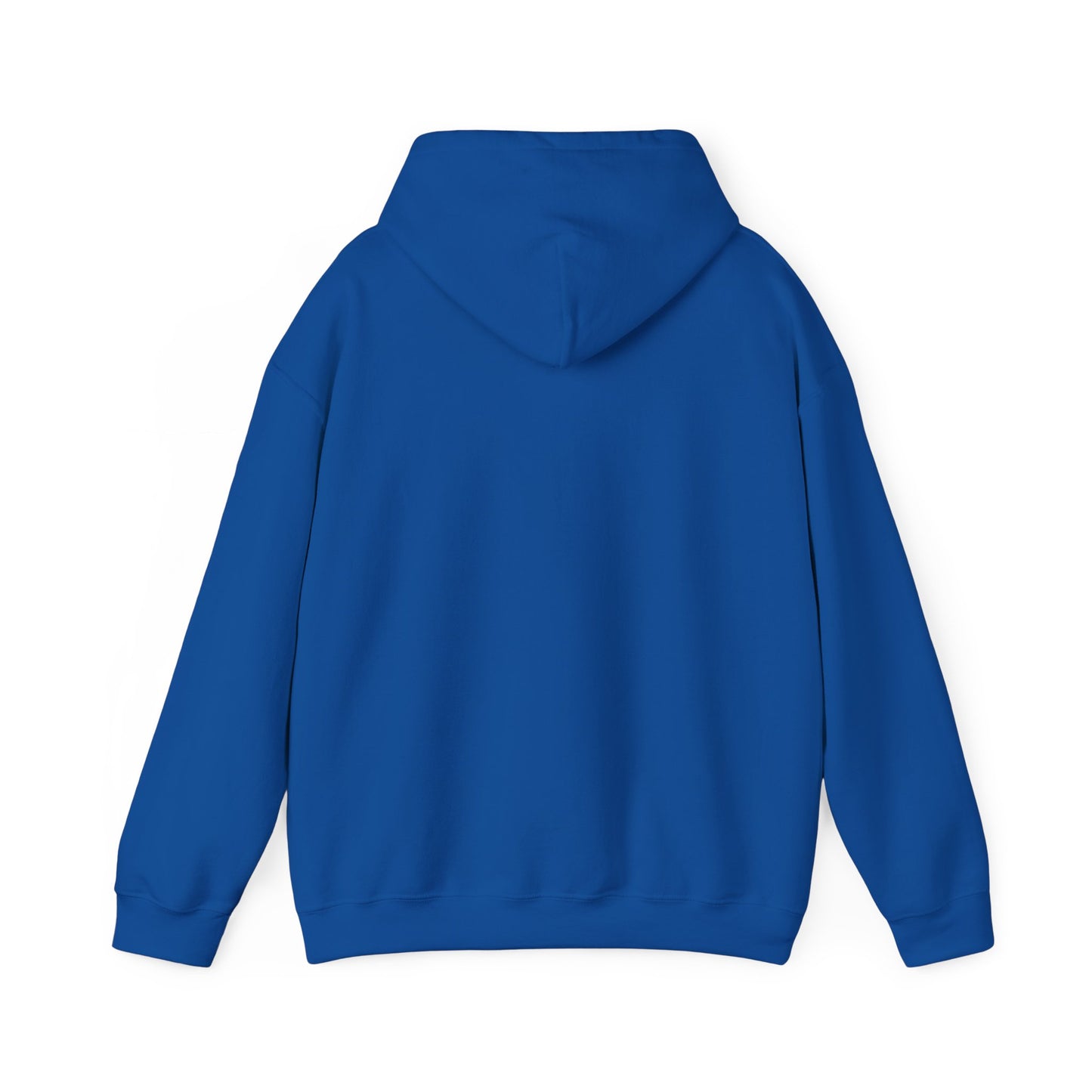 Family Fun Hooded Sweatshirt, Cozy Unisex Sweatshirt, Family Gathering Gift, Casual Hooded Top, Everyday Comfort Wear
