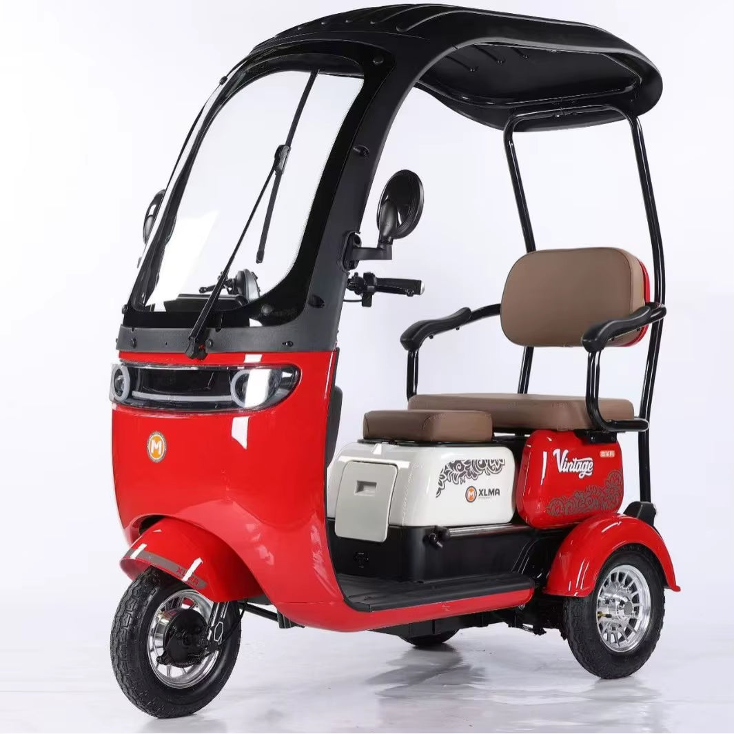 Factory Supply 800W Electric Pedicab Electric Trike 3 Wheel Electric Tricycle Bike for Adults