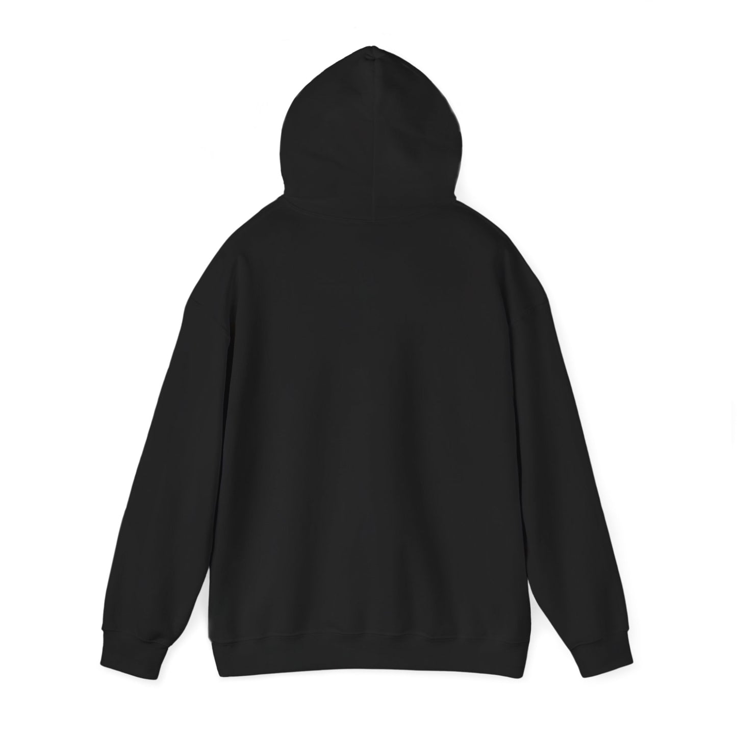 Family Fun Hooded Sweatshirt, Cozy Unisex Sweatshirt, Family Gathering Gift, Casual Hooded Top, Everyday Comfort Wear