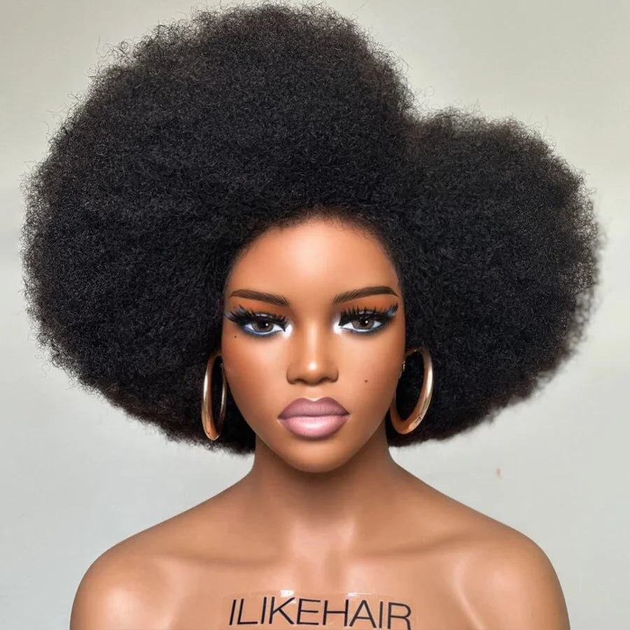 Afro Kinky Curly with Kinky Edges HD 13X4 Lace Front Wig
