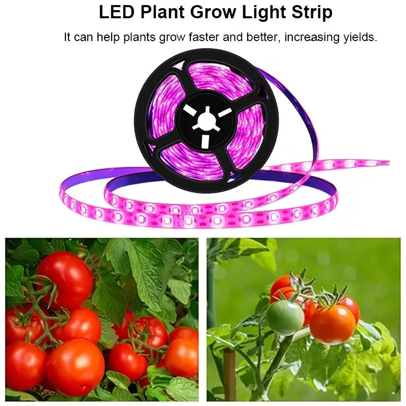 USB Power Supply Full Spectrum Purple Plant Lamp Belt Plants Flowers and Vegetables Promote Growth, Portable and Easy to Install