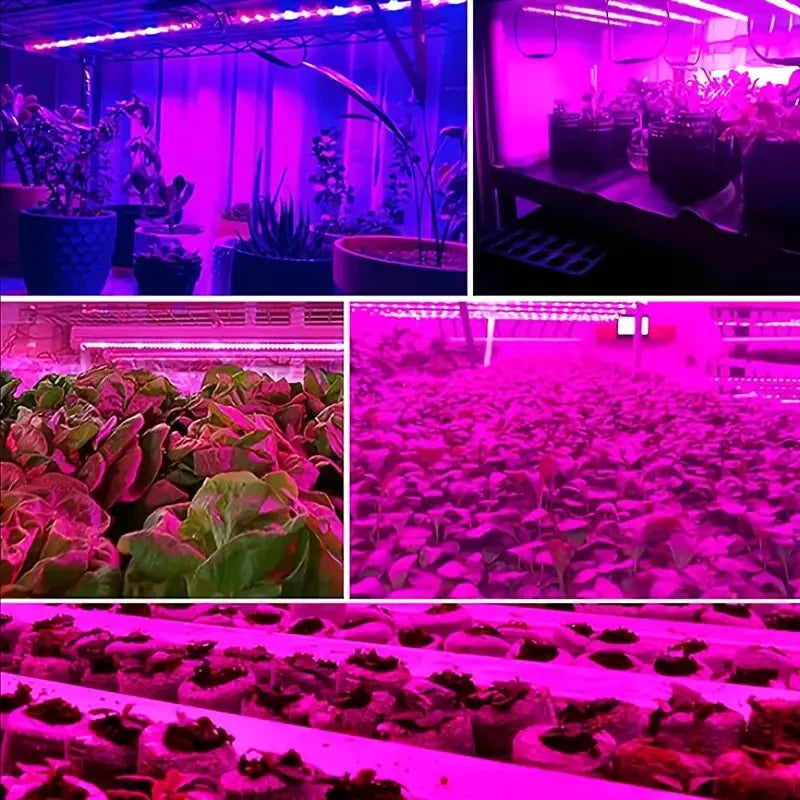 USB Power Supply Full Spectrum Purple Plant Lamp Belt Plants Flowers and Vegetables Promote Growth, Portable and Easy to Install