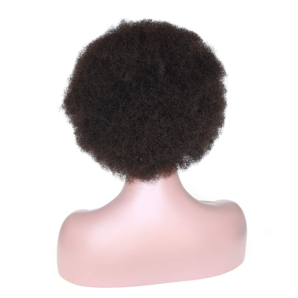 Afro Kinky Curly Fluffy Explosion Short Lace Front Human Hair Wigs for Black Women 10Inch Natural Color Bleached Knots Brazilian Virgin Hair with Baby Hair (Lace Front Wig)