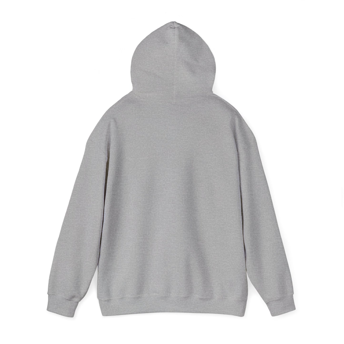 Family Fun Hooded Sweatshirt, Cozy Unisex Sweatshirt, Family Gathering Gift, Casual Hooded Top, Everyday Comfort Wear