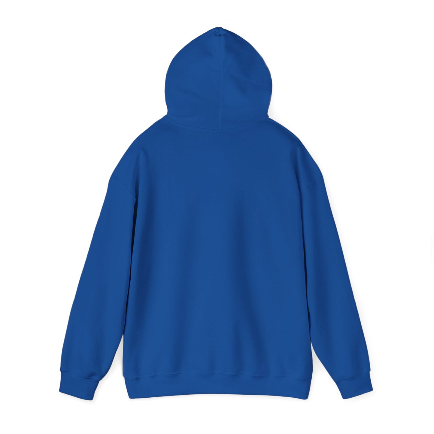 Family Fun Hooded Sweatshirt, Cozy Unisex Sweatshirt, Family Gathering Gift, Casual Hooded Top, Everyday Comfort Wear