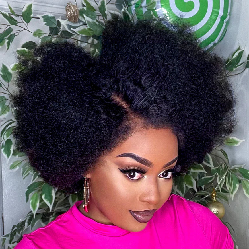 Afro Kinky Curly with Kinky Edges HD 13X4 Lace Front Wig