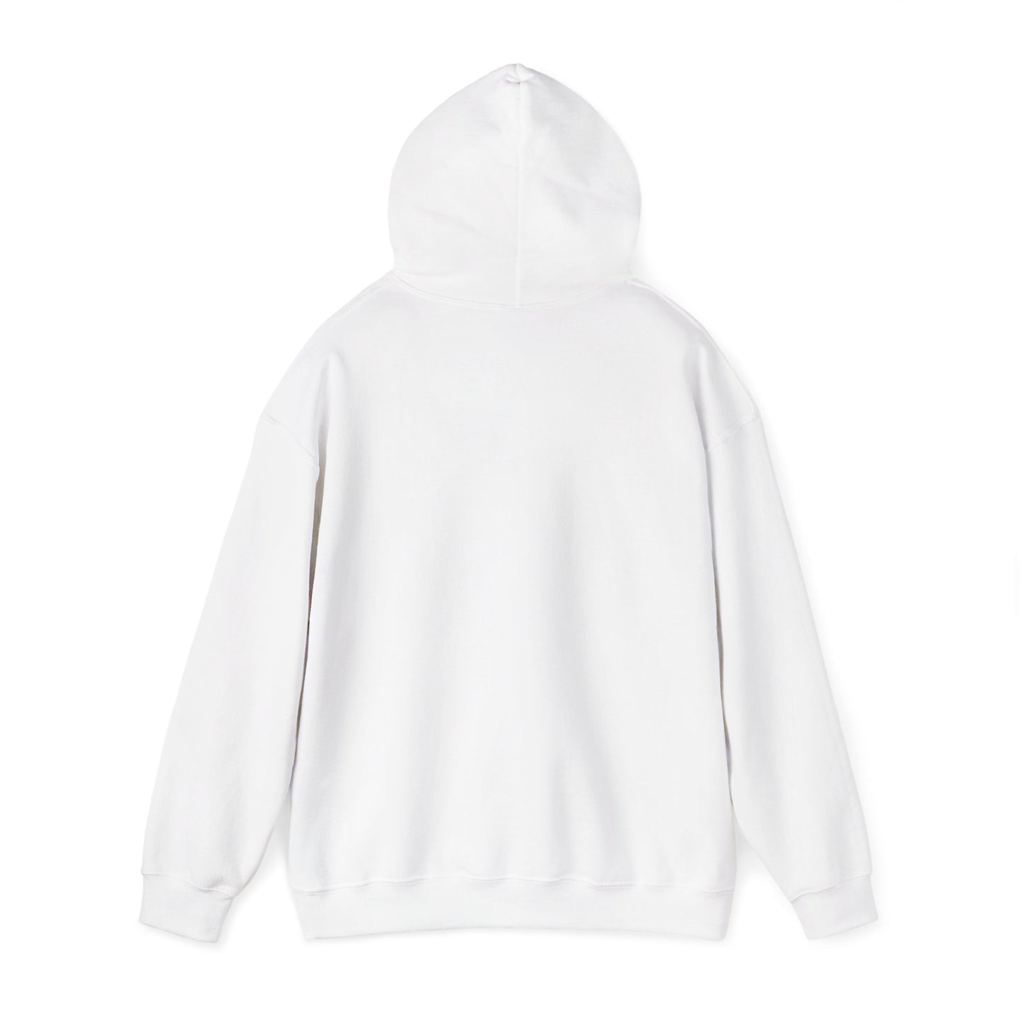 Family Fun Hooded Sweatshirt, Cozy Unisex Sweatshirt, Family Gathering Gift, Casual Hooded Top, Everyday Comfort Wear