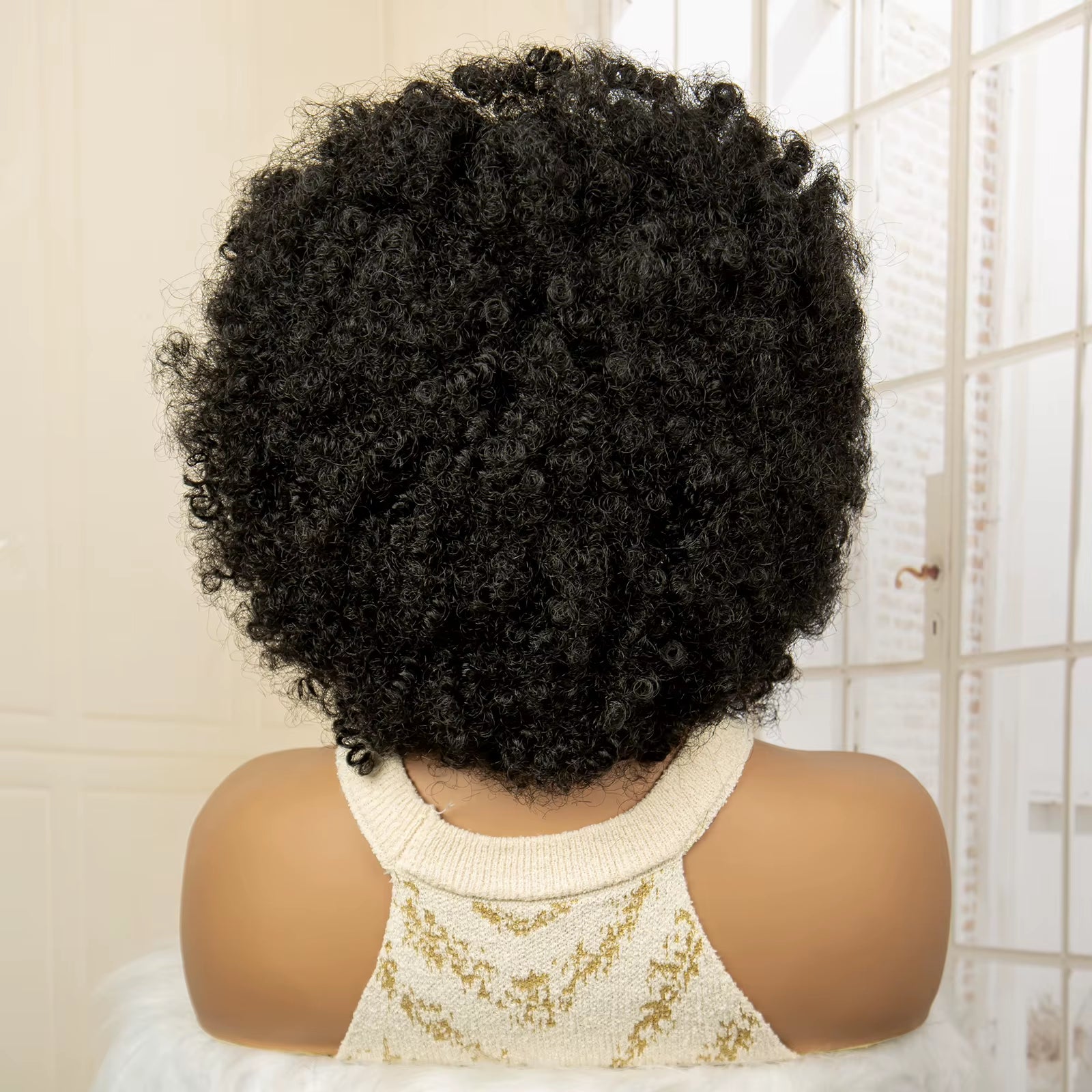 Full Lace Afro Braided Wig for Women African Wig Cornrow Braids Lace Wig with Baby Hair 8 Inch Short Kinky Curly Braid Wigs