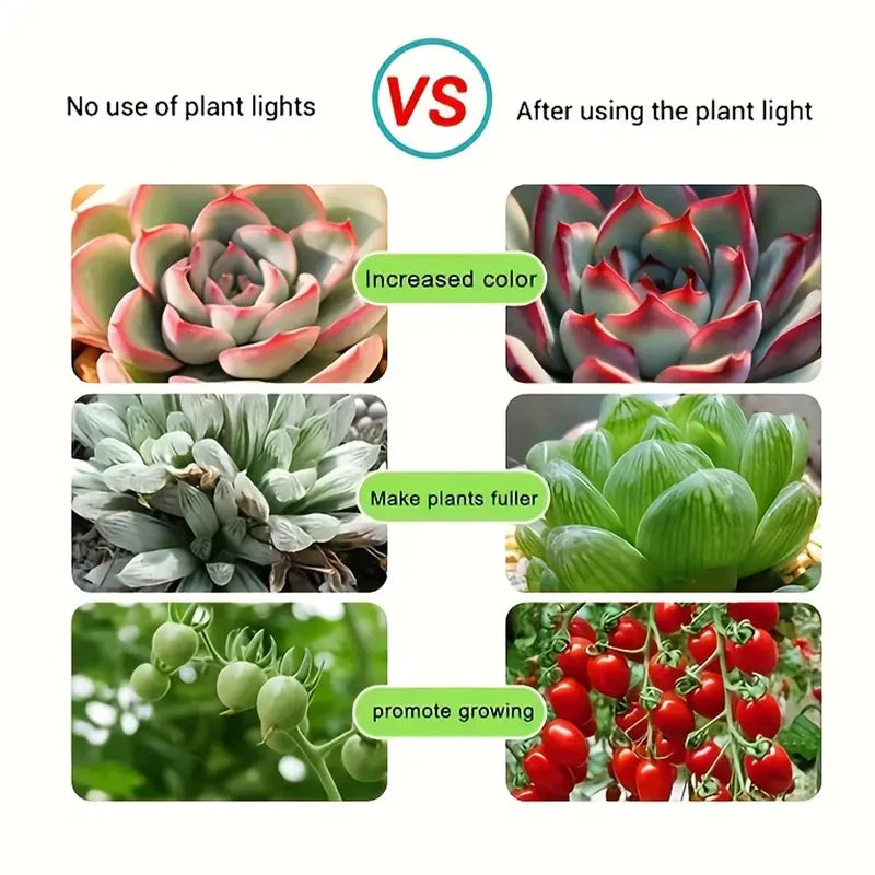 USB Power Supply Full Spectrum Purple Plant Lamp Belt Plants Flowers and Vegetables Promote Growth, Portable and Easy to Install