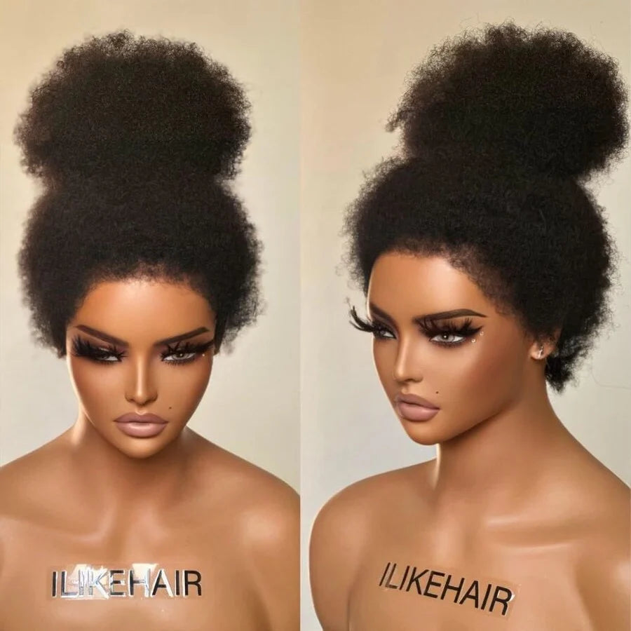 Afro Kinky Curly with Kinky Edges HD 13X4 Lace Front Wig