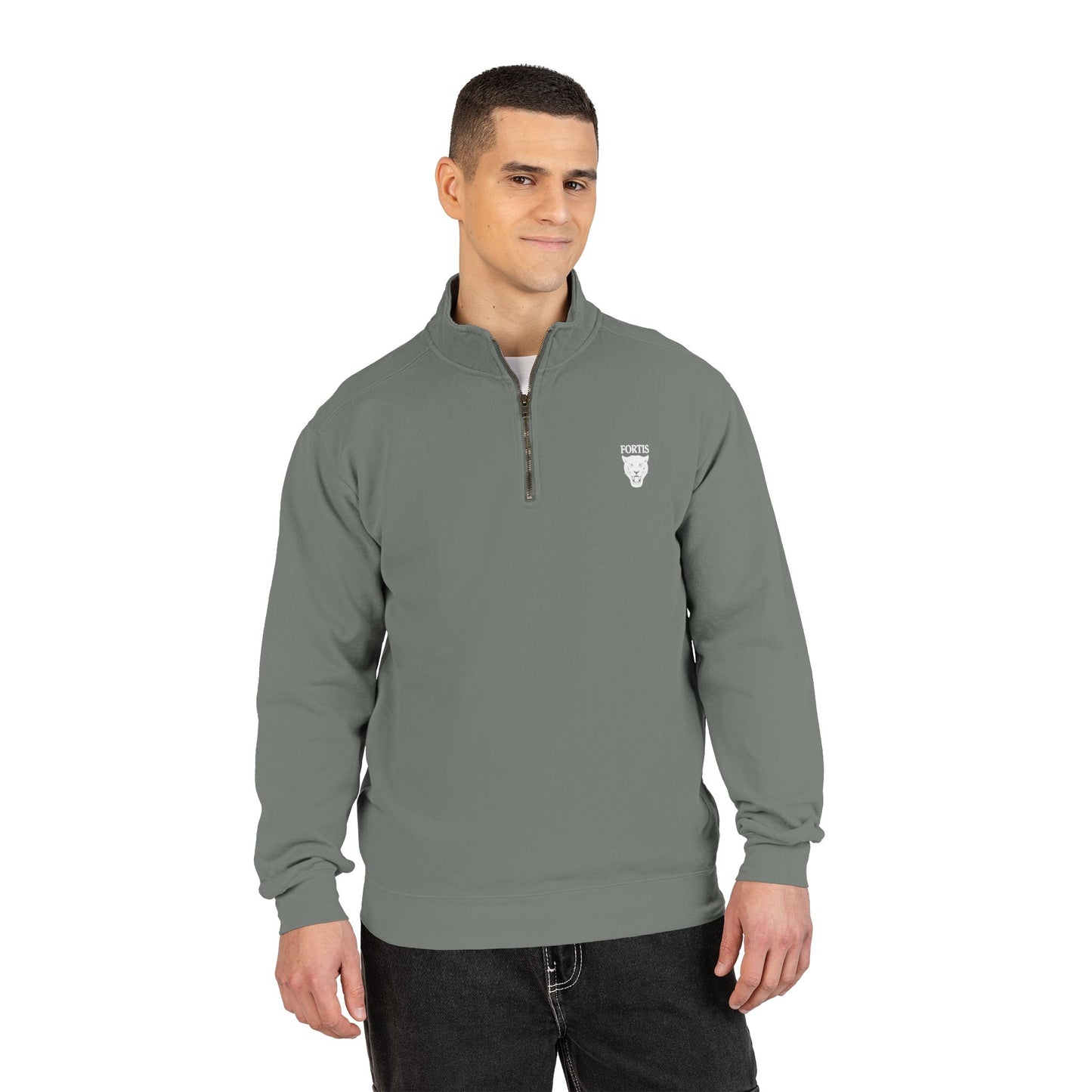 Quarter-Zip Sweatshirt with Small Chest Crest — Casual Pullover for Everyday Wear
