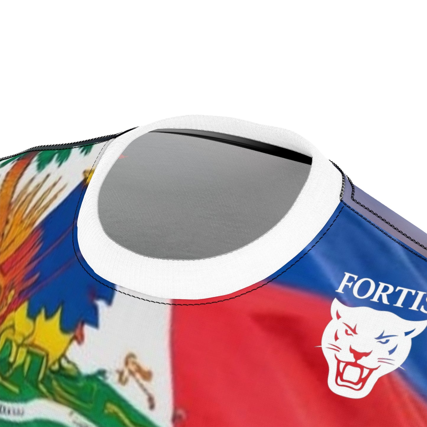 Haiti Flag Lion T-Shirt — Patriotic Haitian All-Over Print Tee