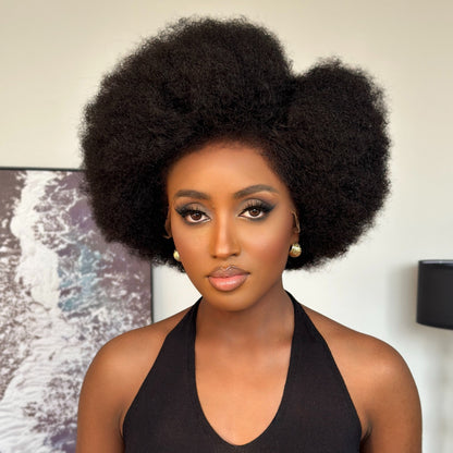 Afro Kinky Curly with Kinky Edges HD 13X4 Lace Front Wig
