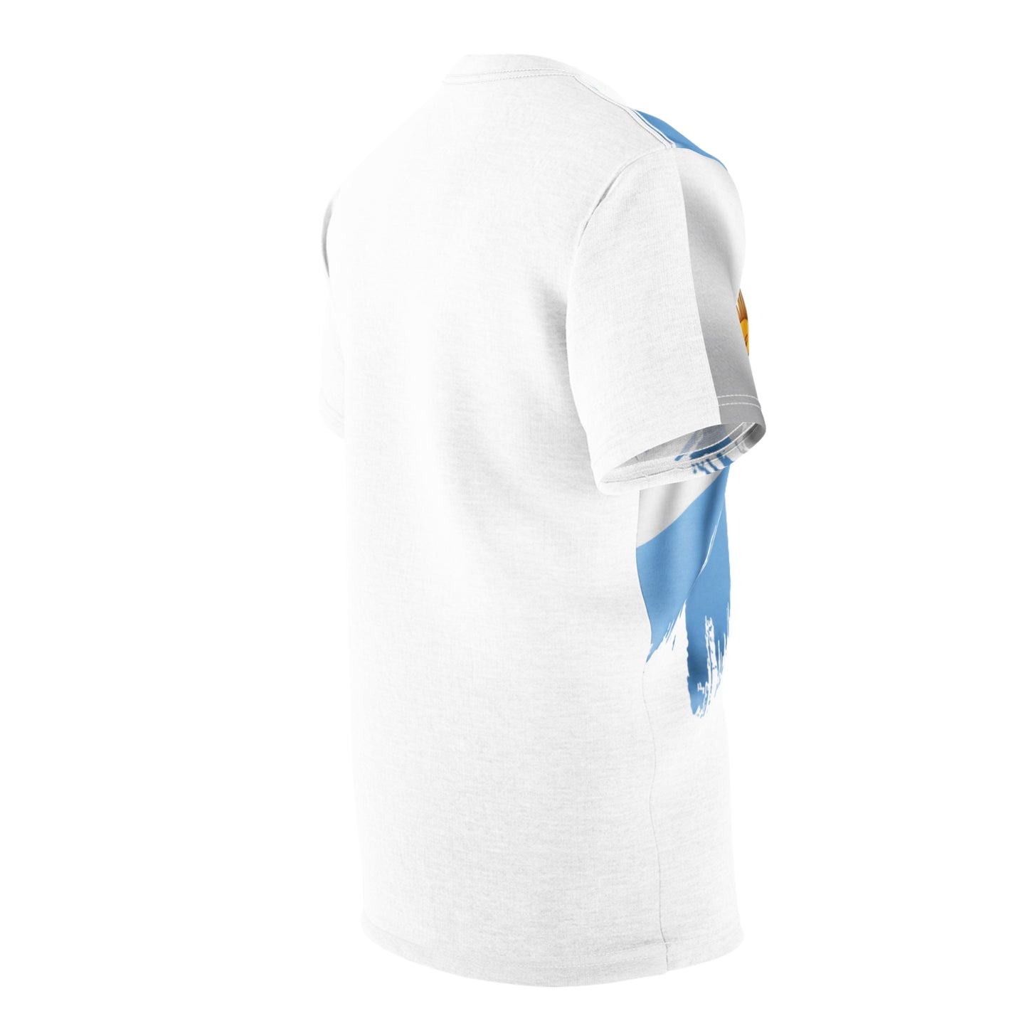 Argentina Flag Brushstroke T‑Shirt