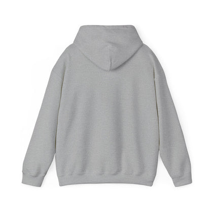 Family Fun Hooded Sweatshirt, Cozy Unisex Sweatshirt, Family Gathering Gift, Casual Hooded Top, Everyday Comfort Wear