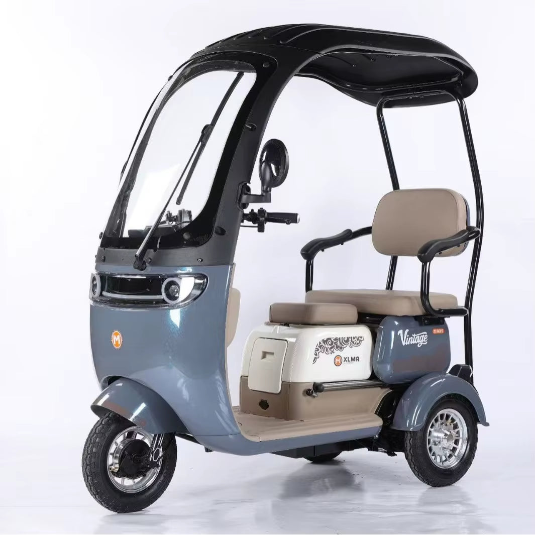 Factory Supply 800W Electric Pedicab Electric Trike 3 Wheel Electric Tricycle Bike for Adults