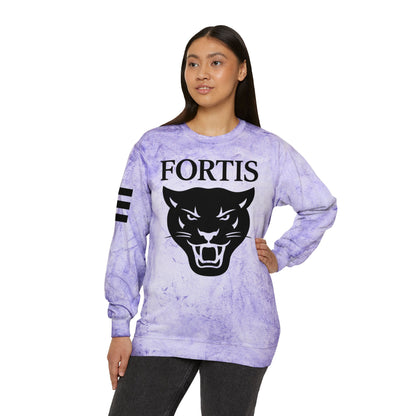 Fortis Panther Tie-Dye Crewneck Sweatshirt