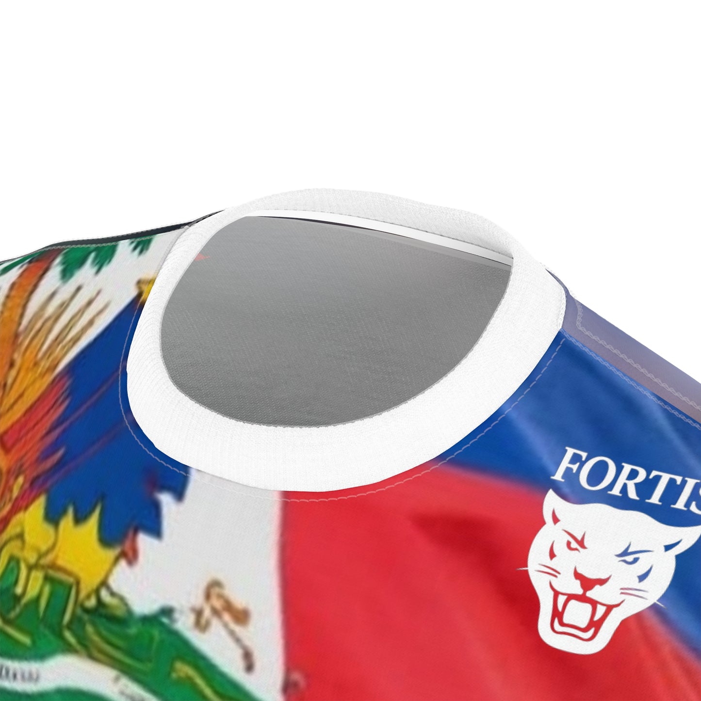 Haiti Flag Lion T-Shirt — Patriotic Haitian All-Over Print Tee