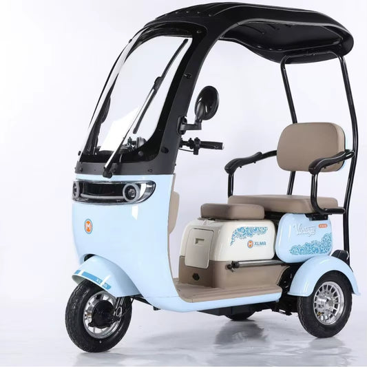 Factory Supply 800W Electric Pedicab Electric Trike 3 Wheel Electric Tricycle Bike for Adults