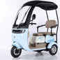 Factory Supply 800W Electric Pedicab Electric Trike 3 Wheel Electric Tricycle Bike for Adults
