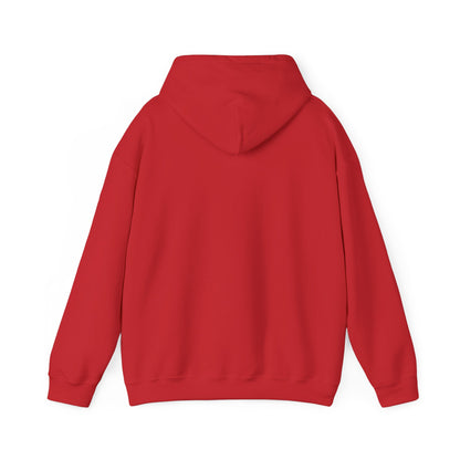 Family Fun Hooded Sweatshirt, Cozy Unisex Sweatshirt, Family Gathering Gift, Casual Hooded Top, Everyday Comfort Wear