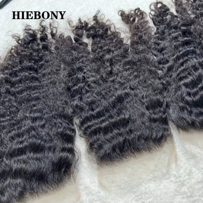 Burmese Curly 13X6 HD LACE Frontal Only SKINLIKE 4X4 5X5 6X6 Real HD Lace Closure Burmese Curly 13X4 HD Lace Frontal Pre Plucked