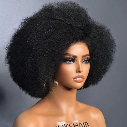 Afro Kinky Curly with Kinky Edges HD 13X4 Lace Front Wig