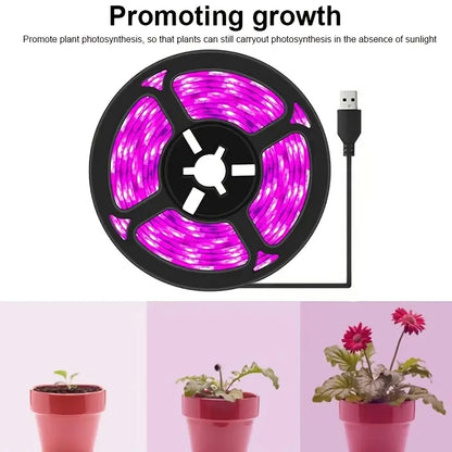 USB Power Supply Full Spectrum Purple Plant Lamp Belt Plants Flowers and Vegetables Promote Growth, Portable and Easy to Install