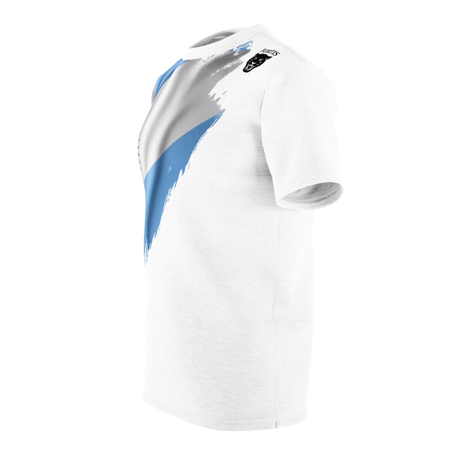 Argentina Flag Brushstroke T‑Shirt