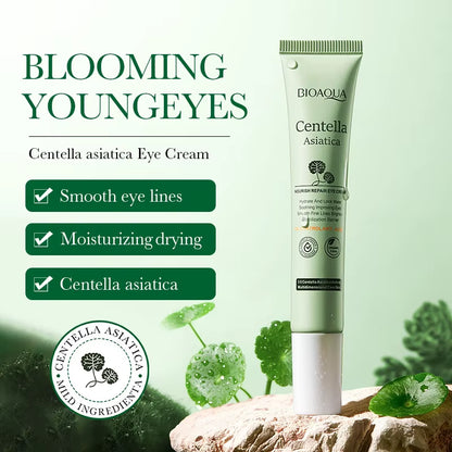Centella Asiatica Eye Cream anti Dark Circles Eyes Bags Moisturizing anti Wrinkle Anti-Aging Beauty Eyes Skin Care Products