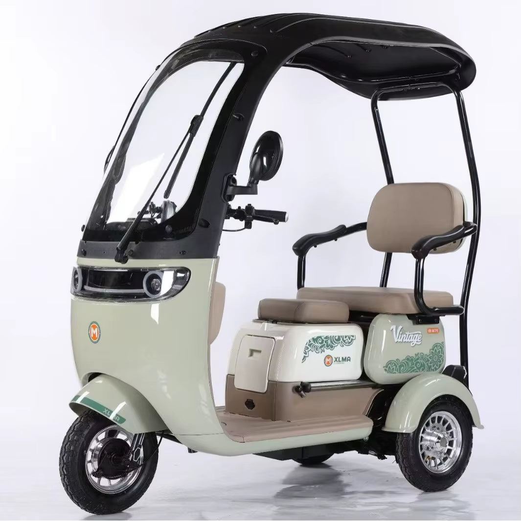 Factory Supply 800W Electric Pedicab Electric Trike 3 Wheel Electric Tricycle Bike for Adults
