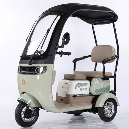 Factory Supply 800W Electric Pedicab Electric Trike 3 Wheel Electric Tricycle Bike for Adults