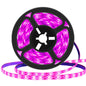 USB Power Supply Full Spectrum Purple Plant Lamp Belt Plants Flowers and Vegetables Promote Growth, Portable and Easy to Install
