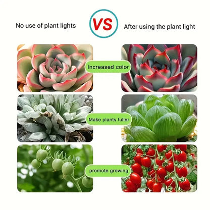 USB Power Supply Full Spectrum Purple Plant Lamp Belt Plants Flowers and Vegetables Promote Growth, Portable and Easy to Install