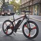 Factory Sells 21 Speed Aluminum Alloy Lithium Batteries at Low Cost48V36V250W1000W Electric Bicycle Electric Bicycle for Adults